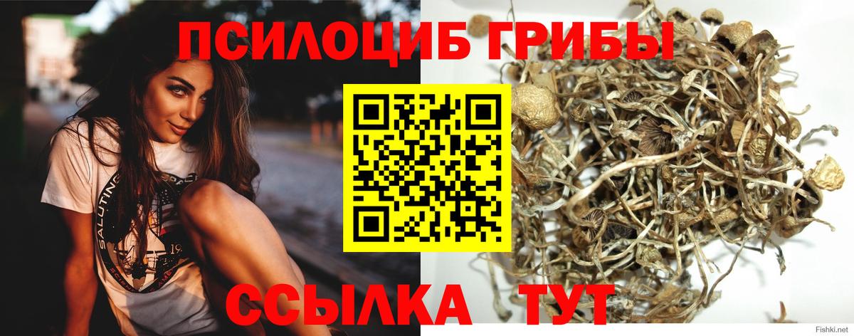 Псилоцибиновые грибы Magic Shrooms  Псилоцибиновые грибы GOLDEN TEACHER  Партизанск  Вход с VPN 